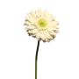 Gerbera artificial QIUDONG, crema, 50cm