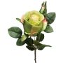 Rosa artificial BARIADY, verde-rosa, 35 cm