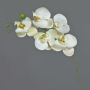 Rama artificial de orquídea Phalaenopsis SONGYA, blanca, 55cm