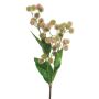 Rama de cardo artificial GUFANG, rosa-verde, 80cm