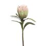 Protea decorativa JIAHUI, rosa-verde, 70cm