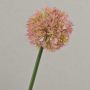 Allium artificial ZHUANG, rosa-crema, 60cm