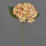 Hortensia artificial QILIN, amarillo-rosa, 35cm