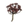 Echeveria macdougallii artificial ULUO en varilla de ajuste, rojo burdeos, 19cm