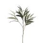 Rama decorativa de mango WENLIAN, verde-gris, 75cm
