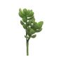 Árbol de dinero artificial MUNING, varilla de ajuste, verde, 14cm