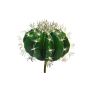 Cactus artificial de silla de suegra TONGNA, varilla de ajuste, verde, 18cm