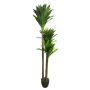 Palmera decorativa de Yucca SHIXING en maceta decorativa, 170cm