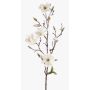 Rama de magnolia artificial LILO, crema, 75cm, Ø5-9cm