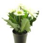 Gerbera artificial XIAOOU en maceta decorativa, crema, 25cm