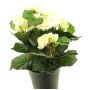 Begonia artificial HETIAN, crema, 25cm