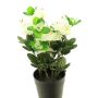 Azalea artificial JINGSHU, crema, 25cm