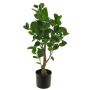 Planta de plástico de aralia SHANG, tronco artificial, verde, 65cm