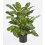 Calathea sintética BADU, pequeño, verde-amarillo, 80cm