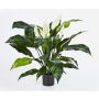 Espatifilo artificial ABBY, con flor, blanco, 75cm