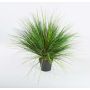 Hierba de duna artificial FABIAN, verde, 65cm