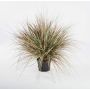 Hierba de duna artificial FABIAN, verde-marrón, 70cm