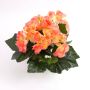 Begonia artificial IVANA con vara de fijación, salmón, 20cm, Ø3-5cm