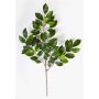 Rama de Ficus sintética AJITH, verde, 45cm