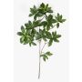 Rama Euonymus japanicus artificial SACHIKO, verde, 55cm