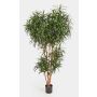 Dracaena reflexa Anita artificial KATARA, tronco natural, verde, 210cm