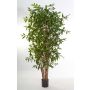 Dracaena surculosa sintética SIMBA, tronco natural, verde, 270cm