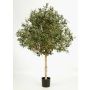 Olivo artificial NIKOLAS, tronco natural, frutos, verde, 180cm