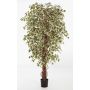 Ficus artificial DAKU, troncos naturales, verde-blanco, 150cm