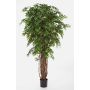 Ficus artificial ALIRIO, troncos naturales, verde, 150cm