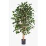 Ficus exotica artificial THIAGO, troncos naturales, verde, 210cm