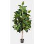 Ficus elastica artificial DEVI, tronco natural, verde, 180cm
