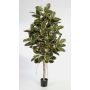 Ficus elastica artificial DEVI, tronco real, verde-blanco, 180cm