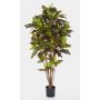 Croton Goldfinger reflexa artificial BEQA, tronco real, colores, 180cm