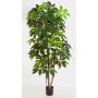 Schefflera Deluxe artificial COOPER, tronco natural, verde, 190cm