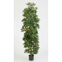 Schefflera artificial ANDREW, tronco natural, verde-blanco, 180cm