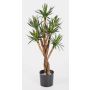 Agave artificial AVAN tronco real, verde, 70cm