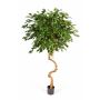 Ficus exotica espiral artificial TAKAI, tronco real, verde, 180cm