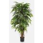 Árbol longifolia lujo artificial PARI, tronco real, verde, 180cm