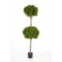 Árbol boj 2 copas artificial TOM, tronco real, verde, 160cm, Ø50cm