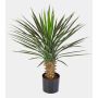 Palmera yuca artificial RAFFAELA, 80cm