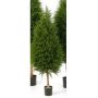 Árbol de cedro artificial YVONNE, verde, 150cm