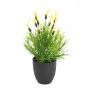 Lavanda falsa LETIZIA en maceta decorativa, amarillo, 40cm, Ø4cm