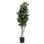 Schefflera plástico PAMINA, tronco artificial, verde-blanco, 120cm