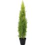 Ciprés plástico MINNA, macetero, exterior, verde claro, 120cm