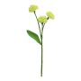 Armeria artificial YISHU, verde claro, 30cm