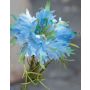Flor artificial de comino negro MARAH, azul claro, 80cm, Ø4-6cm