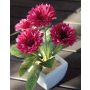 Flor textil Gerbera CELINA en tiesto de cerámica, fucsia, 20cm, Ø7cm