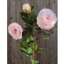 Rama de camelias artificiales ROWENA, rosa palo, 75cm