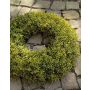 Corona de mirto artificial JARIK, verde, Ø25cm