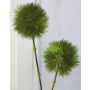 Panícula de eriophorum artificial ZORRO, blanco-verde, 45cm